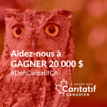 le-grand-defi-caritatif-canadien-medias-sociaux-CARRÉ